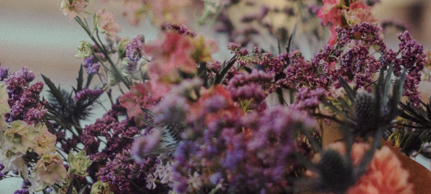 prono photo flowers